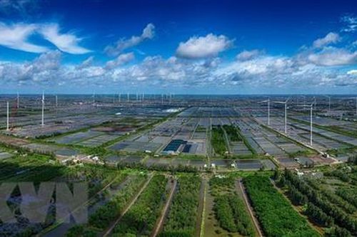 Đưa tỉnh Bạc Liêu phát triển theo hướng xanh và bền vững