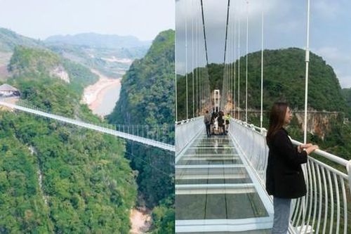 Cầu kính đi bộ dài nhất thế giới ở Mộc Châu: Du khách than thở 'đắt ngang vé máy bay'