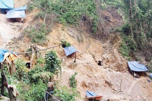 'Vàng tặc' vẫn âm ỉ xới rừng huyện miền núi Nam Đông