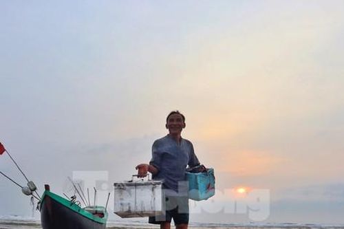 Dong thuyền câu mực xuyên đêm, ngư dân kiếm tiền triệu mỗi ngày