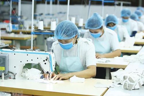 Doanh nghiệp lo đứt nguồn cung nguyên phụ liệu