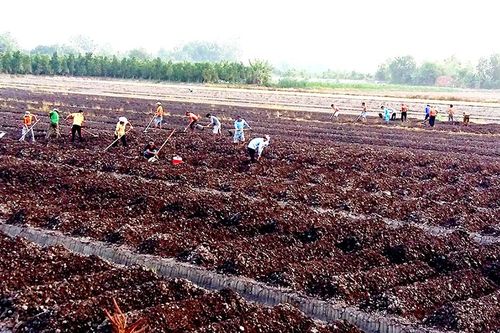 Kết quả nổi bật của ngành tài nguyên và môi trường