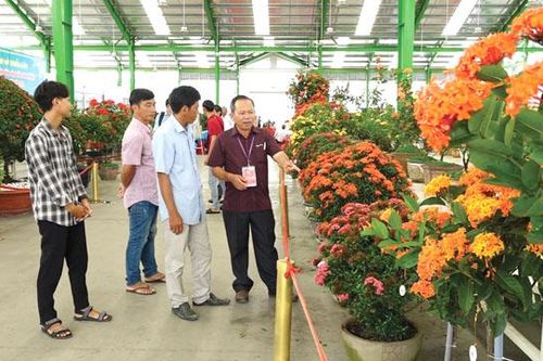Hội thi sinh vật cảnh đồng bằng sông Cửu Long mở rộng TP Sa Đéc năm 2022