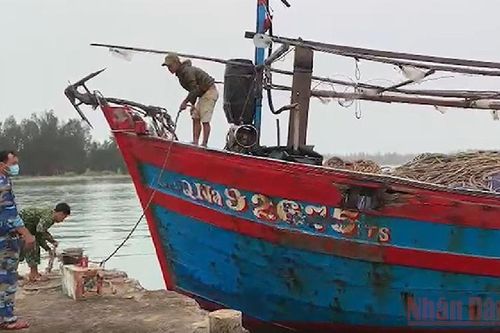 5 ngư dân Quảng Nam gặp nạn trên biển vào bờ an toàn