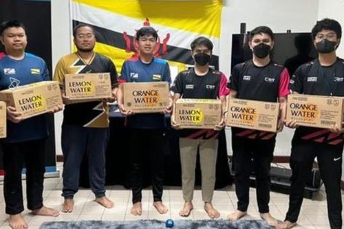 Đoàn thể thao tham dự SEA Games với hơn 20 vận động viên