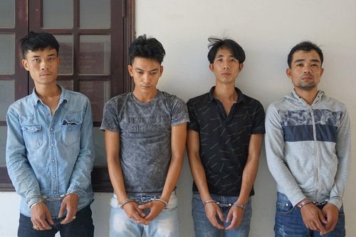 Tạm giữ nhóm đối tượng trộm hàng chục cây mai kiểng
