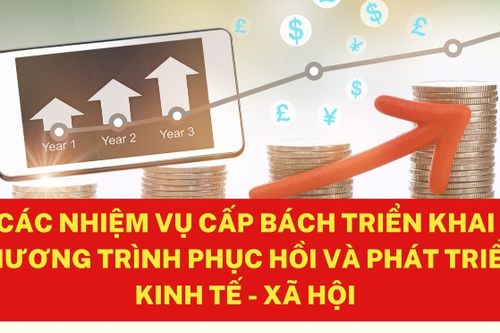 Triển khai chương trình phục hồi, phát triển kinh tế-xã hội