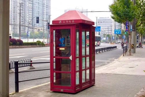 Người phụ nữ phải sống ở bốt điện thoại khi Thượng Hải phong tỏa