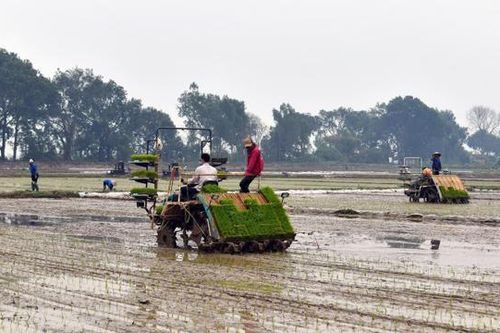 Thúc đẩy cơ giới hóa nông nghiệp