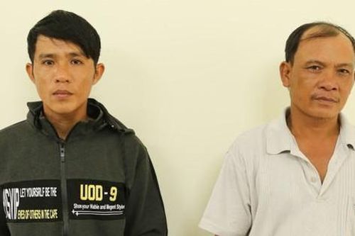 Ninh Thuận khởi tố, bắt tạm giam nhóm 'lâm tặc' đánh nhân viên bảo vệ rừng nhập viện