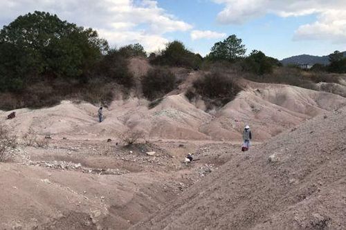 Mexico: Phát hiện hóa thạch nhím có niên đại 30 triệu năm