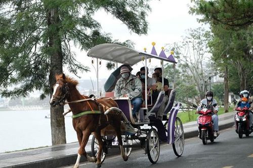 Chấn chỉnh tình trạng 'cò du lịch' gây sốt phòng ảo tại Đà Lạt