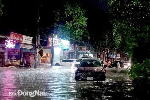 Chủ động ứng phó sự cố mùa mưa bão