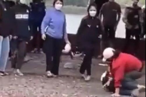 Đình chỉ học có thời hạn với 4 nữ sinh tham gia đánh nhau