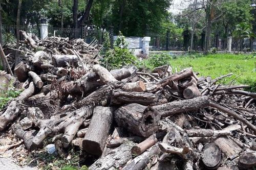 Rác thải vẫn là nỗi ám ảnh ở nhiều công viên, vườn hoa