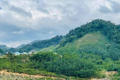 Một huyện miền núi tỉnh Quảng Nam xin tiếp nhận dự án điện gió công suất 500 MW