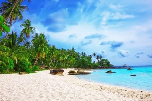 Phú Quốc bỏ thu tip bắt buộc thay bằng 'thỏa thuận mềm', du khách vẫn 'chưa ưng'