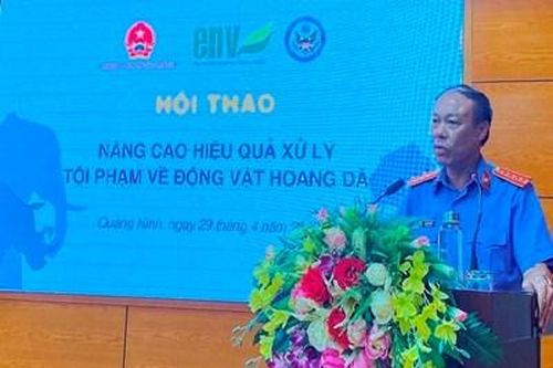 Nâng cao hiệu quả xử lý tội phạm về động vật hoang dã tại Quảng Ninh