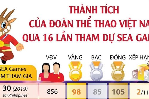 Thành tích của Đoàn Thể thao Việt Nam qua 16 lần tham dự SEA Games