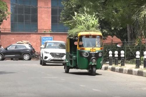 Độc đáo 'vườn cây tránh nóng' trên nóc xe lam tại Ấn Độ
