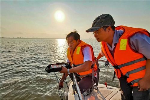 Mực nước trung và hạ lưu sông Mê Công gia tăng, giảm thiểu tình hình xâm nhập mặn