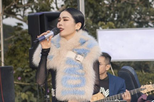 Lệ Quyên nói gì giữa tranh cãi khán giả tham dự show Đà Lạt loe hoe, hàng ghế thưa thớt?