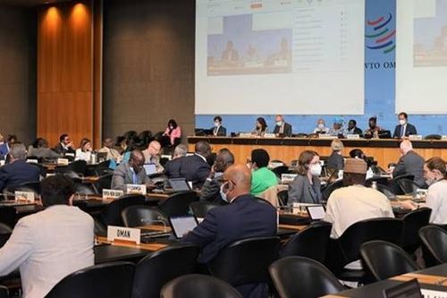 WTO nỗ lực vượt khó để đạt thỏa thuận cấp bách cho Hội nghị Bộ trưởng