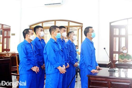 'Thiêu thân' chỉ vì ma túy