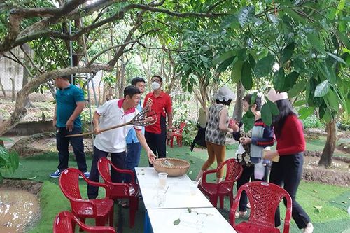 Du lịch xanh nông dân - hướng đi mới cho du lịch Đồng Tháp