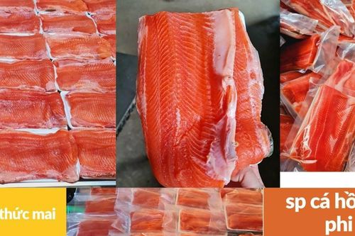 Hướng tới chế biến sâu mặt hàng cá Hồi, cá Tầm Lào Cai