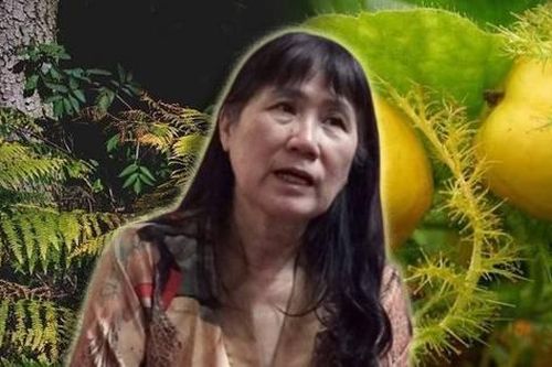 Ngoài dương xỉ, lạc tiên, những cây nào có thể ăn giúp sống sót nếu lạc trong rừng hoặc rơi xuống vực sâu? Đặc biệt lưu ý 6 loại quả tuyệt đối không ăn kẻo trúng độc