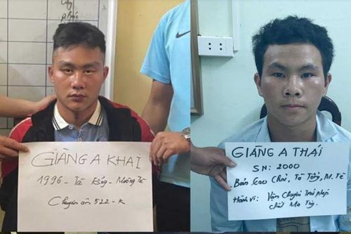 Thuê em trai vận chuyển ma túy
