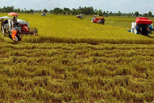 Nâng cao chất lượng công tác khuyến nông