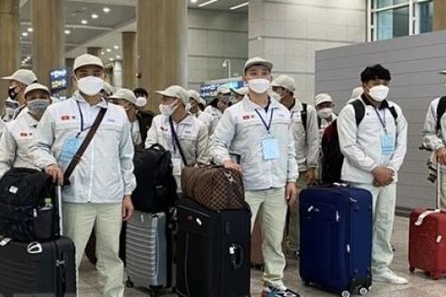 Hàn Quốc mở lại kênh tiếp nhận lao động thời vụ từ Việt Nam