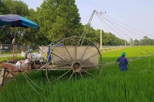 Vướng vào bẫy chuột điện nhà hàng xóm, người đàn ông chết thảm