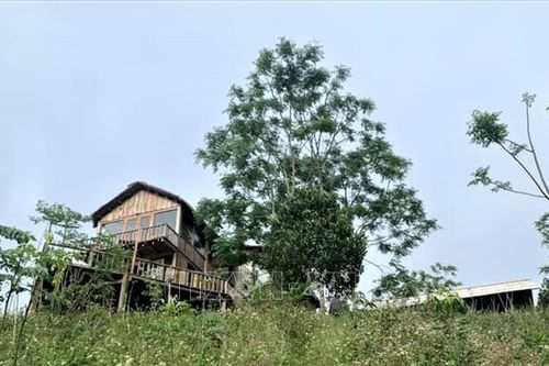 Lãnh đạo Bình Định yêu cầu kiểm tra, làm rõ farmstay bị phản ánh tính tiền giá cao