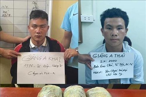 Bắt hai đối tượng vận chuyền gần 3 bánh heroin và 2,5 kg nhựa thuốc phiện
