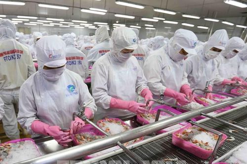 Doanh nghiệp chớp cơ hội xuất khẩu sang Brazil