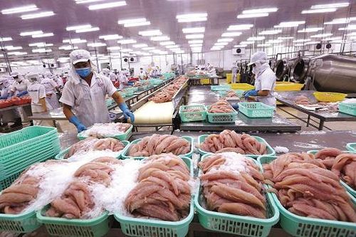 Để kinh tế tập thể ngày càng phát triển mạnh hơn, đúng đắn và lành mạnh hơn