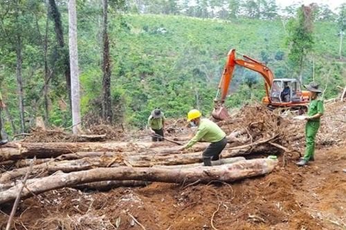 Chậm tiến độ 84 tháng, dự án 768ha ở Lâm Đồng bị thu hồi