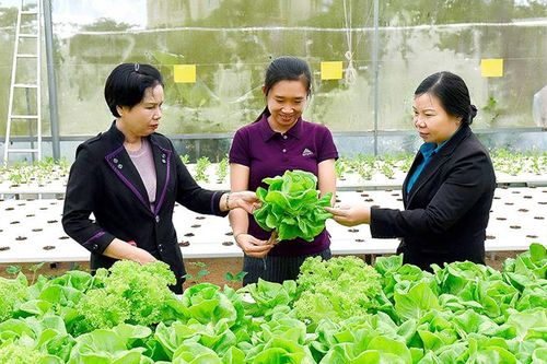 Gắn khoa học công nghệ với phát triển kinh tế-xã hội