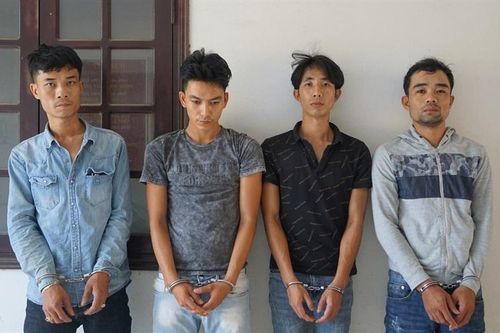 Những 'vạc đêm' chuyên 'khuân' mai cảnh