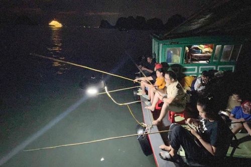 Đêm tối đen theo thuyền ra vịnh Hạ Long: Mất 2 triệu để săn con mực tươi rói