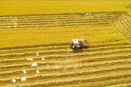 Tạo sự chuyển biến mạnh mẽ trong nông nghiệp, nông dân, nông thôn