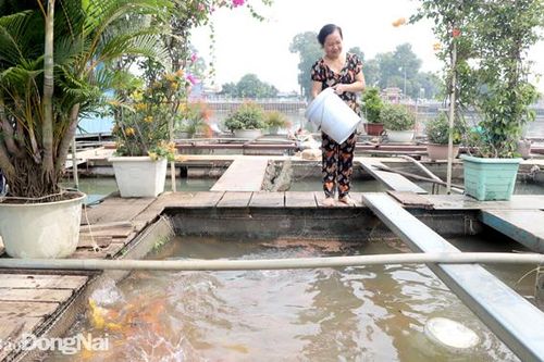 Tính đường xa cho ngành nuôi thủy sản