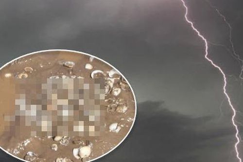 Xót xa cảnh bé gái 11 tuổi cùng mẹ bị sét đánh ở bãi nghêu: Thấy tia sét vụt sáng, em vội ôm chầm lấy mẹ nhưng không ngờ đó là giây phút cuối cùng
