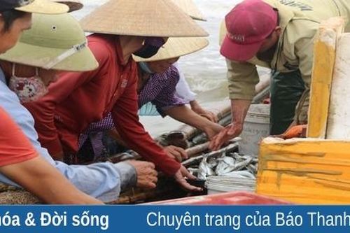 Thăm bến cá ven biển Hải Tiến ngày cuối tuần