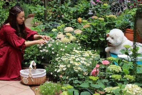 Khu vườn đẹp như ở xứ sở thần tiên với đủ loại hoa khoe sắc