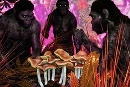 Phát hiện sinh vật ăn thịt cả quái thú, mang dòng máu con người