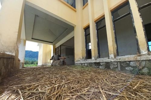 Xót xa dự án hơn 4000 tỷ đồng thành 'công viên' chăn thả trâu bò